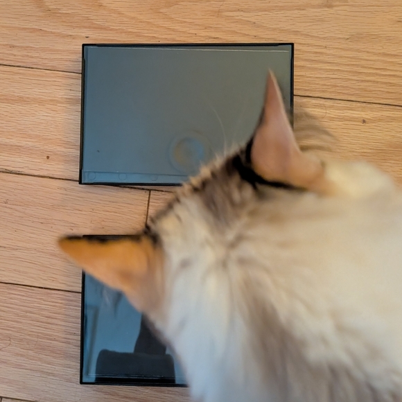 Photo Frame - Picture 2 of 4